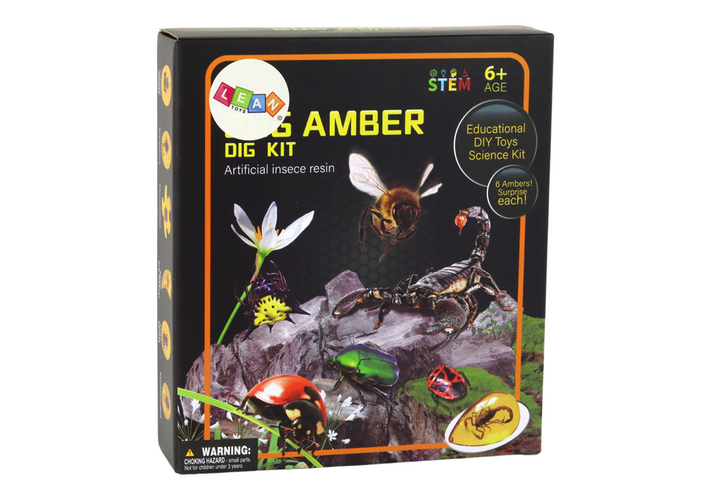 Archeologická sada s hmyzem v jantaru – s nářadím a lupou