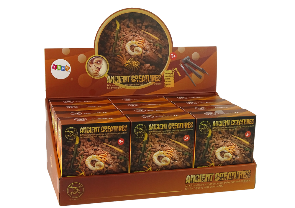 Archeologická sada vykopávky amonit – s překvapením