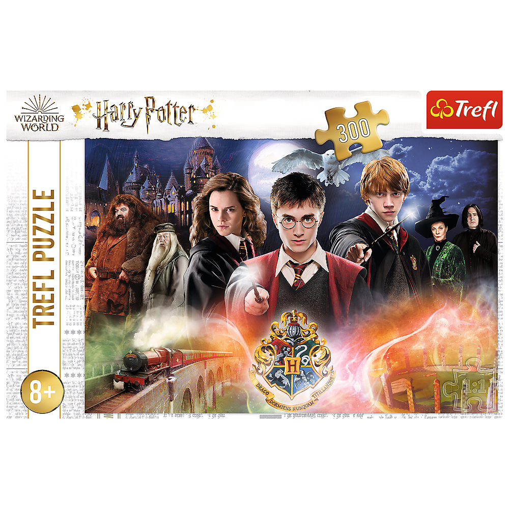 Puzzle Harry Potter 300 dílků Tajemný Harry Potter