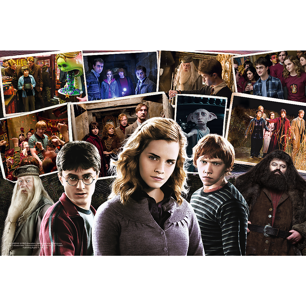 Puzzle Harry Potter a přátelé 160 dílků – Trefl 15418