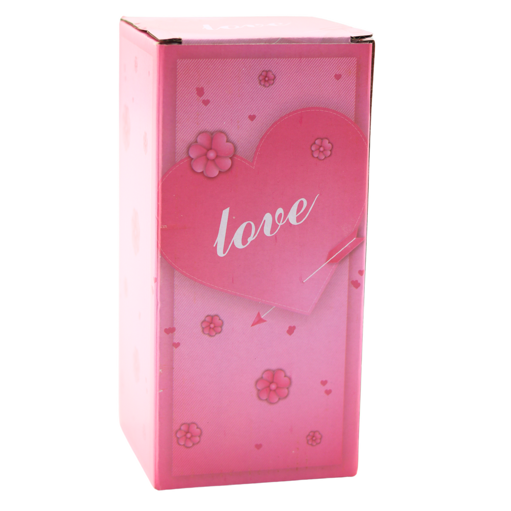 Věčná růže v kopuli s LED osvětlením a srdíčkem červená 18,5cm