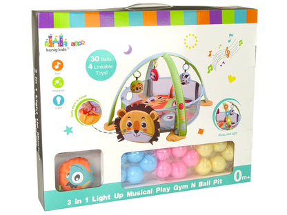 Educational Mat Lion Playpen Balls for Baby