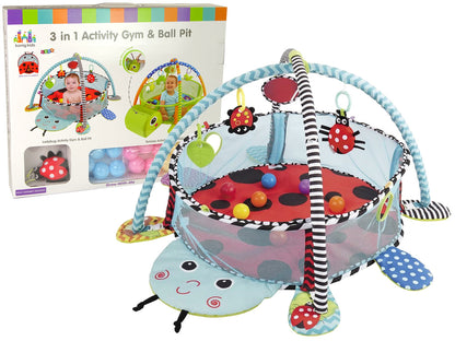Ladybug Educational Mat Playpen Balls For Baby