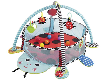 Ladybug Educational Mat Playpen Balls For Baby