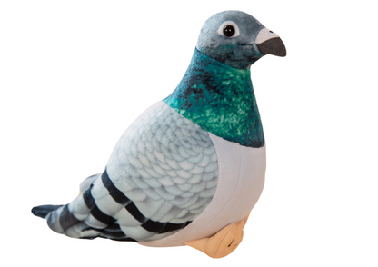 Gołąb Szary Maskotka Pluszowa