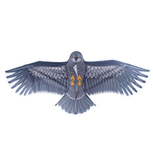 Eagle Bird-Shaped Kite with Rope Handle 150 x 70cm