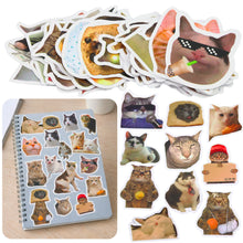 Sada samolepek s kočičími memy – 50 kusů, 7–8 cm