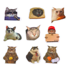 Sada samolepek s kočičími memy – 50 kusů, 7–8 cm