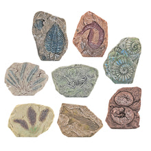 Paleontologická vykopávka s nářadím – sádrový blok s fosílií