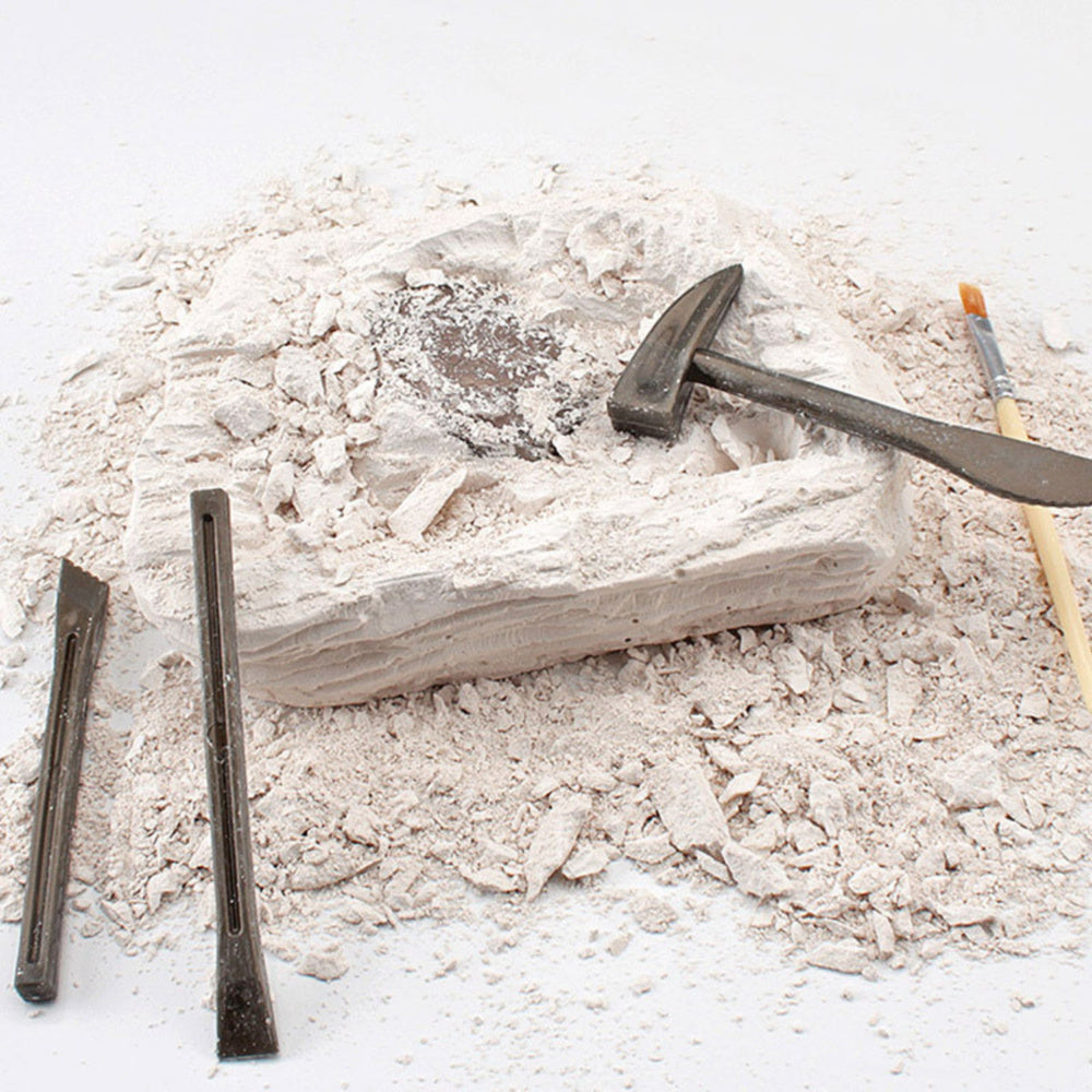 Paleontologická vykopávka s nářadím – sádrový blok s fosílií