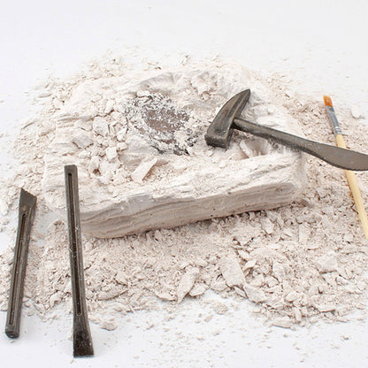 Paleontologická vykopávka s nářadím – sádrový blok s fosílií