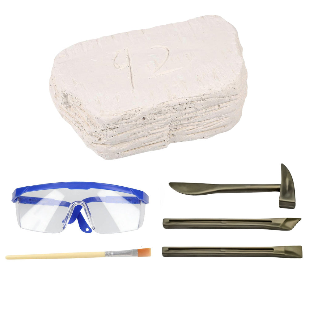 Archeologická vykopávka lebky s nářadím pro děti – 6+