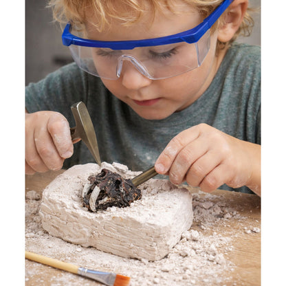 Archeologická vykopávka lebky s nářadím pro děti – 6+