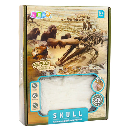 Archeologická vykopávka lebky s nářadím pro děti – 6+