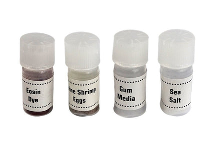 Children's Microscope in a Carrying Case Educational Scientist 28 Elements 300x 600x 1200x