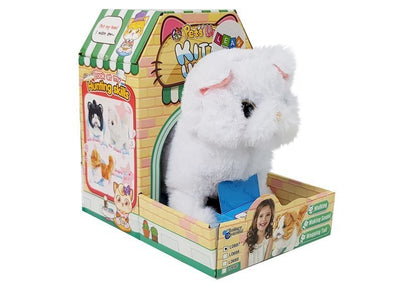 White Persian Cat Walks Wags Its Tail on Batteries