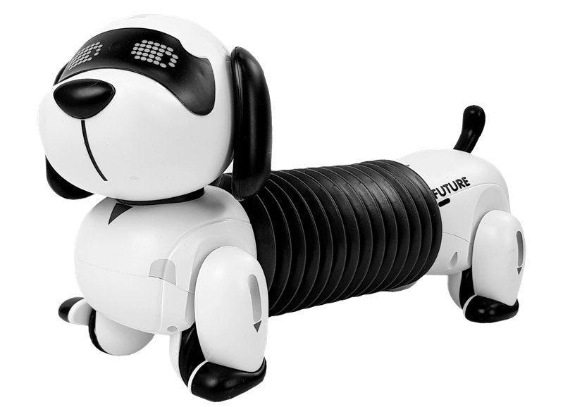 Interactive Robot Dog Remote Controlled Music Sound Remote Control Ball