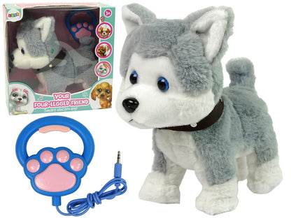 Plush Dog Interactive Educational Leash Songs Walks