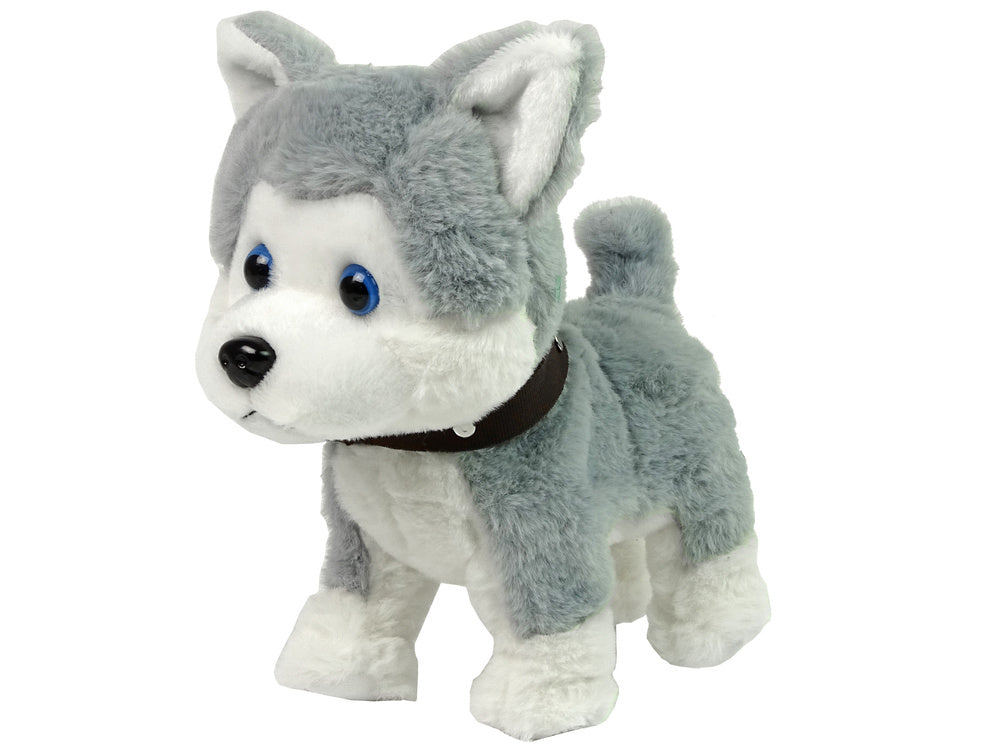 Plush Dog Interactive Educational Leash Songs Walks