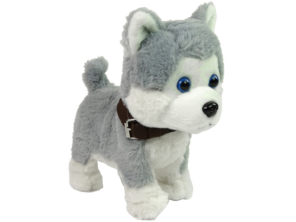 Plush Dog Interactive Educational Leash Songs Walks