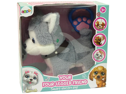 Plush Dog Interactive Educational Leash Songs Walks