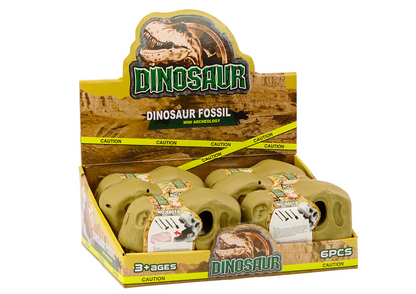 Archeologická sada dinosauří lebka s fosíliemi a nástroji