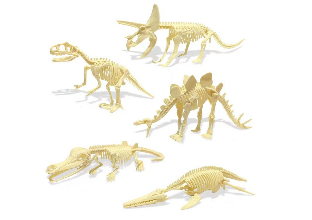 Archeologická sada s dinosauřími vejci a fosiliemi