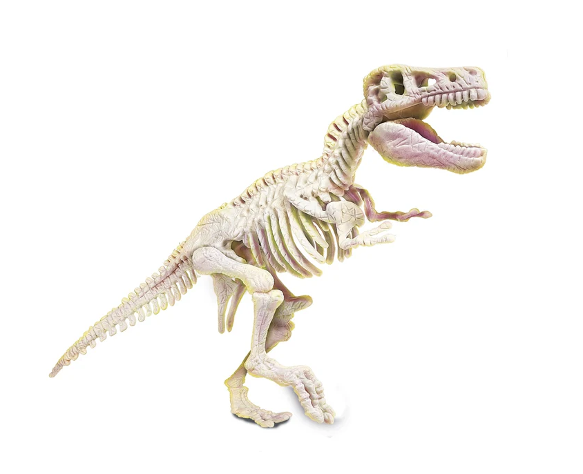 Archeologický set T-Rex kostra – vědecká zábava Clementoni