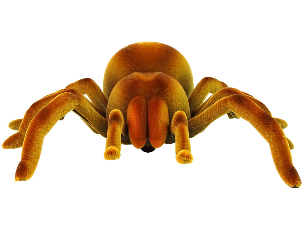 Dálkově ovládaný pavouk tarantule s infračerveným ovládáním hnědý