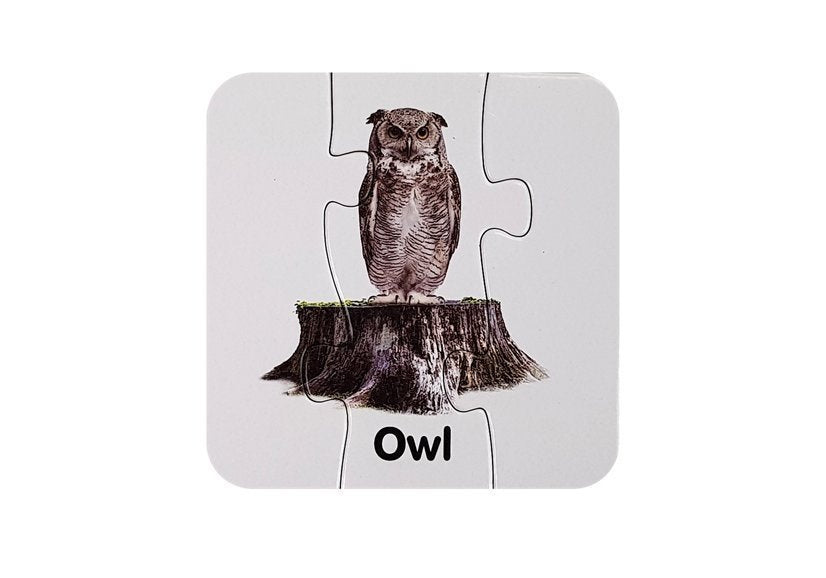Edukační puzzle Divoká zvířata s anglickými názvy 10 párů