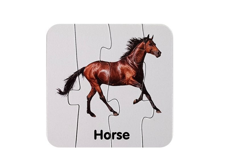Edukační puzzle Divoká zvířata s anglickými názvy 10 párů