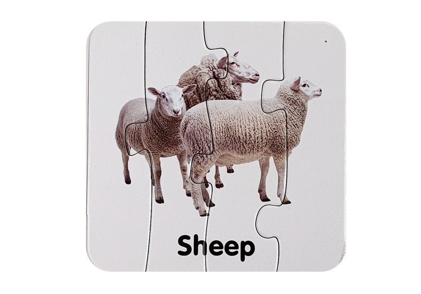Edukační puzzle Divoká zvířata s anglickými názvy 10 párů