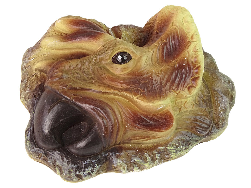 Edukační vykopávky dinosaura Triceratops s nástroji a lupou