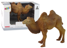 Figurka velbloud sběratelská – realistická zvířata 13 cm