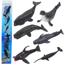 Figurky mořských savců 6 ks – kosatka delfín tuleň 6 8 cm