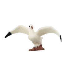 Figurky mořských zvířat 6ks – rekin delfin velryba | 6 8cm