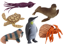 Figurky mořských zvířat s rostlinami 8 ks – sada pro děti