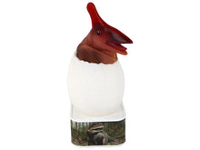 LED lampička dinosaurus pteranodon – vylíhající se z vajíčka USB