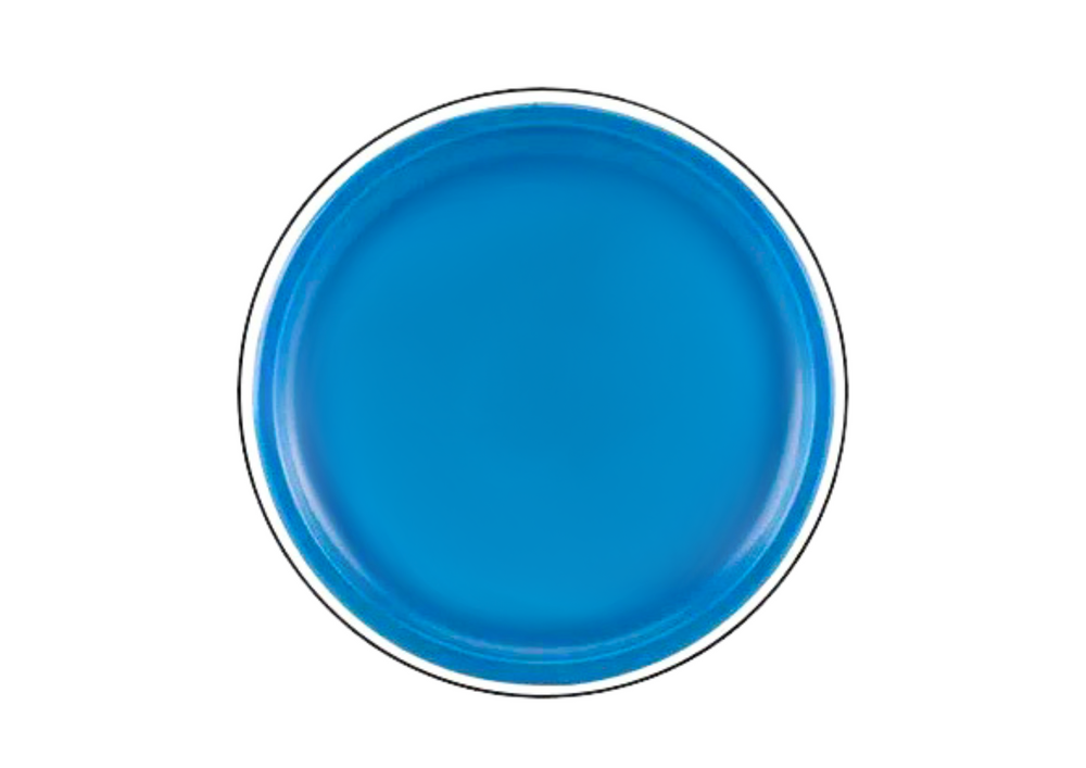 Létající disk frisbee s dinosaurem 20 cm modrý