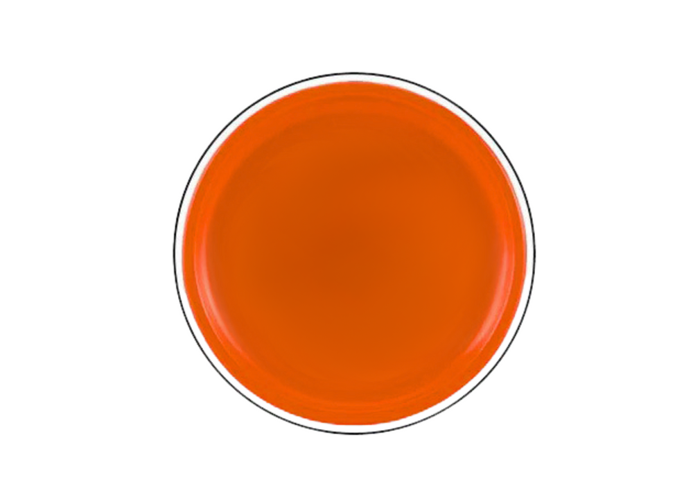 Létající disk frisbee s dinosaurem 20 cm oranžový
