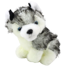 Plyšový pejsek Husky v kabelce přítulanka bílo šedý