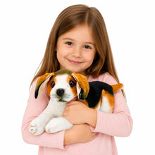 Plyšový pes Beagle 25 cm – měkká hračka pro děti od 3 let