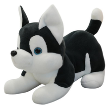 Plyšový pes husky přítulka – černobílý 30cm | plyšák