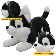 Plyšový pes husky přítulka – černobílý 30cm | plyšák