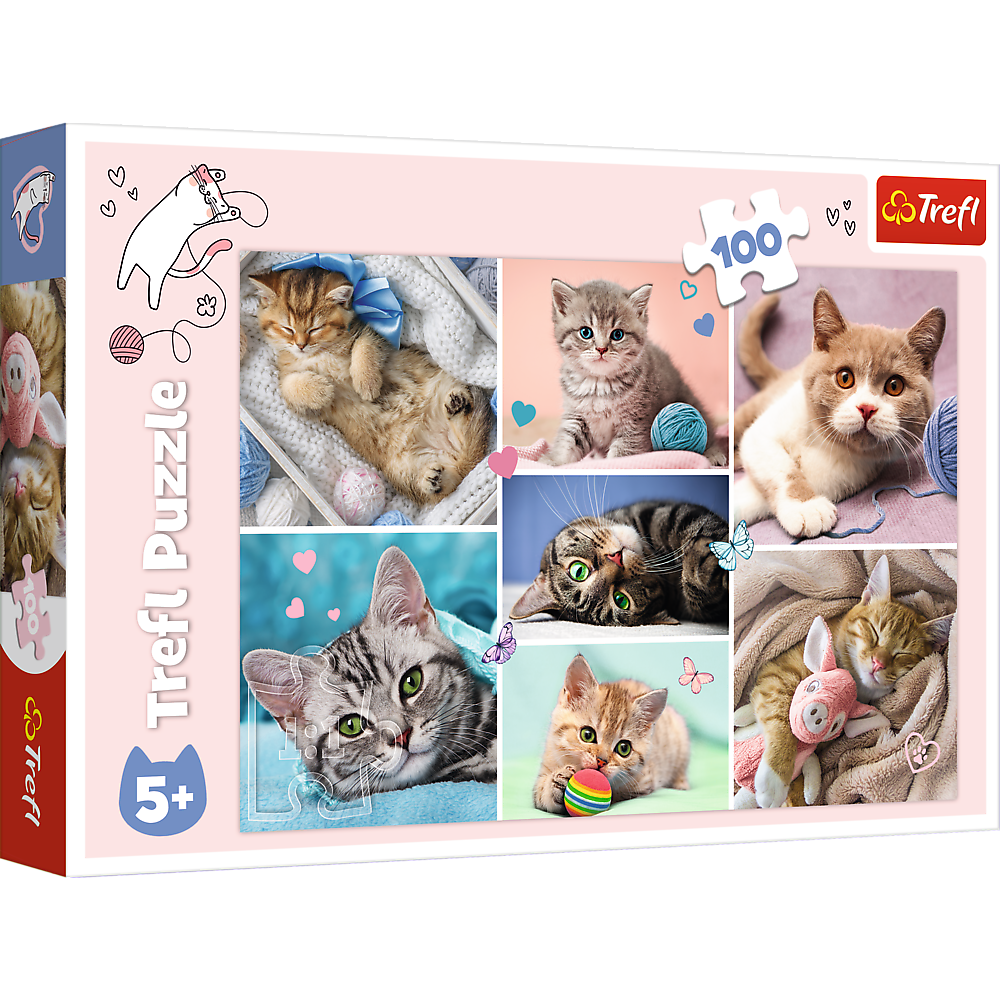 Puzzle 100 dílků Ve světě koček – Trefl 16420
