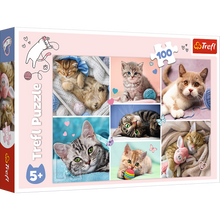 Puzzle 100 dílků Ve světě koček – Trefl 16420