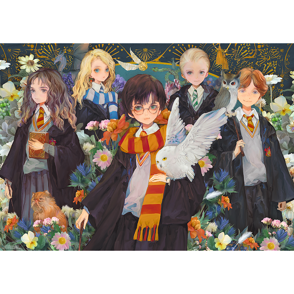 Puzzle 1000 dílků Premium Plus s plakátem – Harry Potter