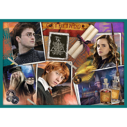 Puzzle 10v1 ze světa Harryho Pottera – Harry Potter