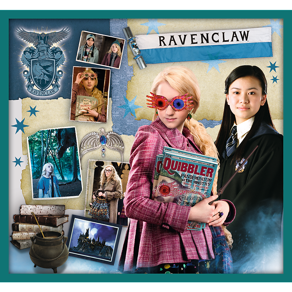 Puzzle 10v1 ze světa Harryho Pottera – Harry Potter