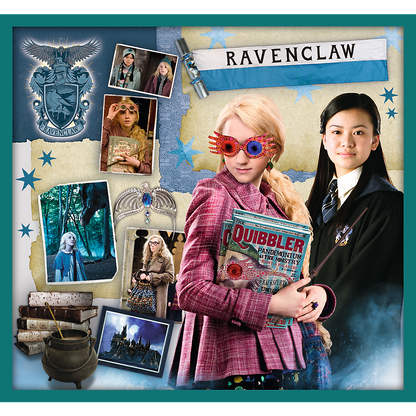 Puzzle 10v1 ze světa Harryho Pottera – Harry Potter